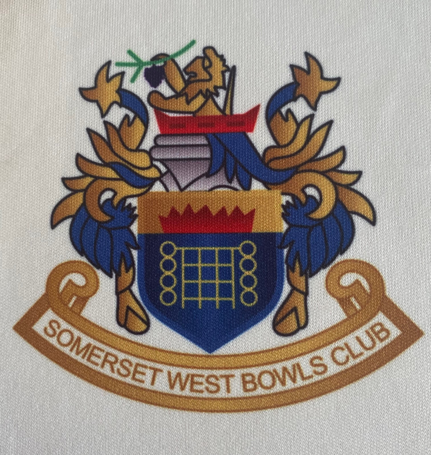 ERP • A picture with a caption